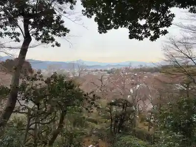 常寂光寺(京都府)