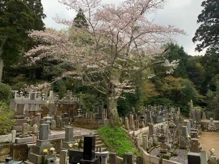 観福寺(千葉県)