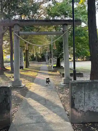 富士浅間神社の{uncategorized: "未分類", other: "その他", undefined: "問題あり", building: "その他建物", grave: "お墓", sacred_gate: "鳥居", guardian: "狛犬", statue: "像", buddha: "仏像", history: "歴史", nature: "自然", garden: "庭園", animal: "動物", pagoda: "塔", temizu: "手水舎", mountain_gate: "山門・神門", sanctuary: "本殿・本堂", subordinate: "末社・摂社", art: "芸術", scenery: "景色", jizo: "地蔵", ema: "絵馬", goshuin: "御朱印", omikuji: "おみくじ", items: "授与品その他", amulet: "お守り", goshuincho: "御朱印帳", eats: "食事", festival: "お祭り", votive_dance: "神楽", shichigosan: "七五三参", wedding: "結婚式", experience: "体験その他", initially: "初詣", around: "周辺", anti_infection: "感染症対策"}