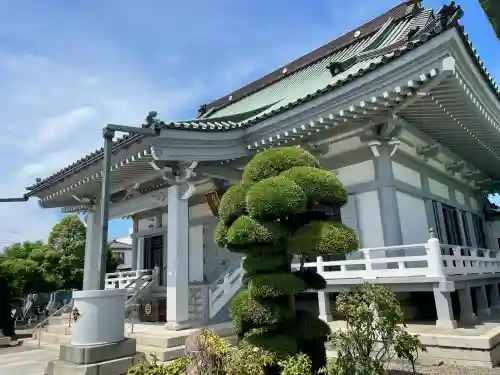 選擇寺(千葉県)