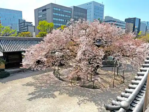 東長寺の建物その他