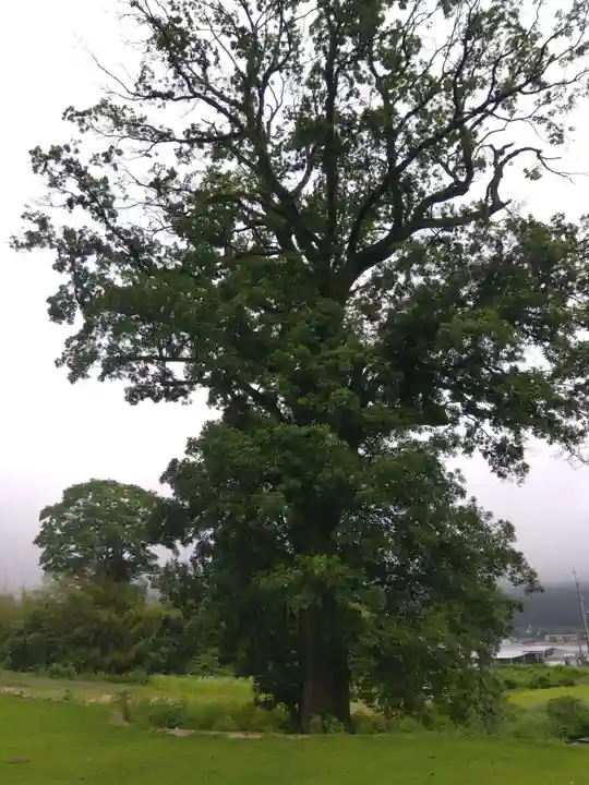 邇々杵神社(滋賀県)