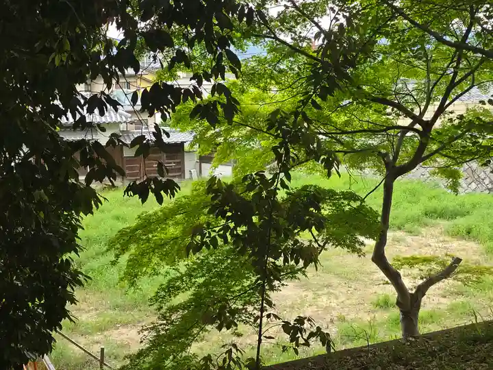 西福寺(大阪府)