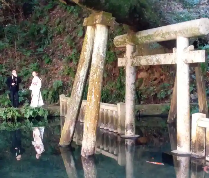 鹿島神宮(茨城県)