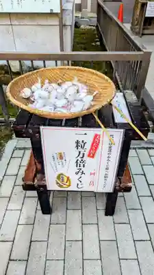 柏神社のおみくじ