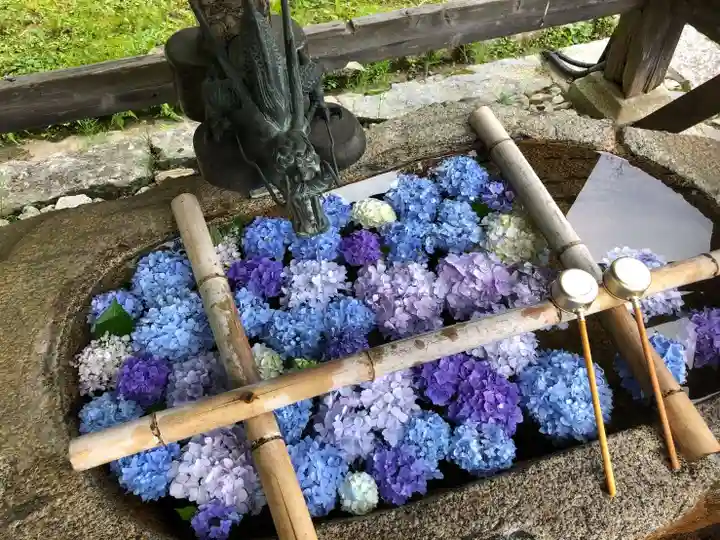 観心寺(大阪府)