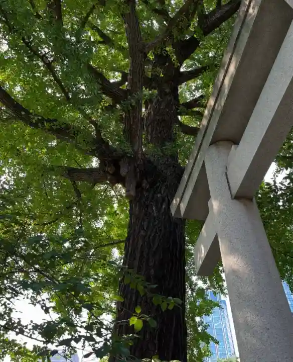 熊野神社(東京都)