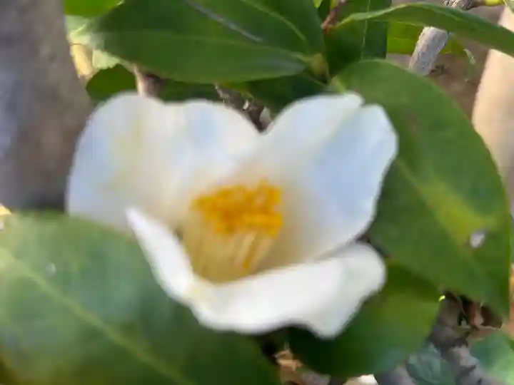 西方山極楽寺(岐阜県)