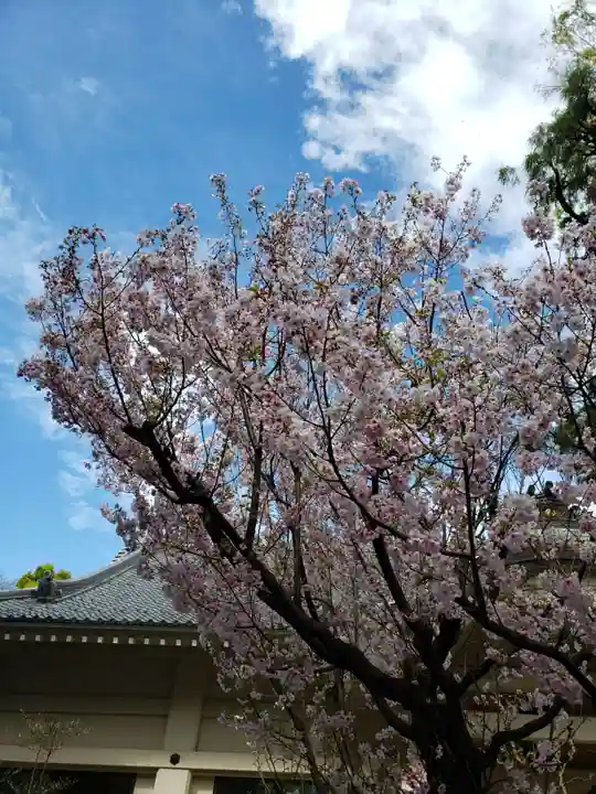 月窓寺(東京都)
