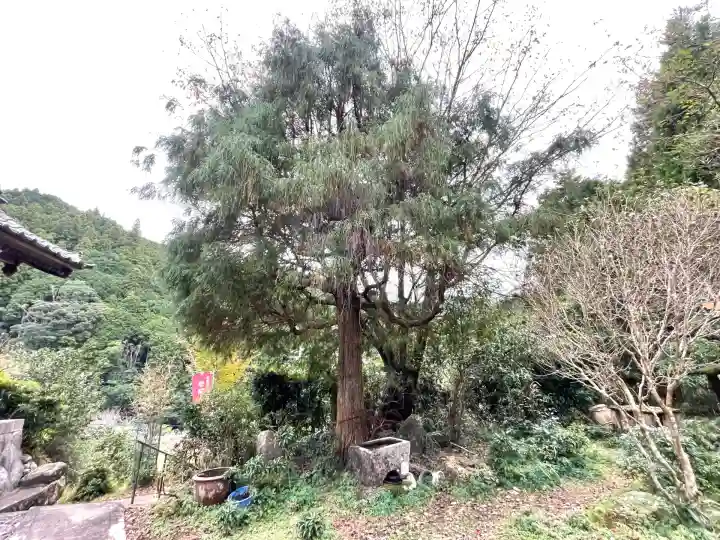 成覚寺(三重県)