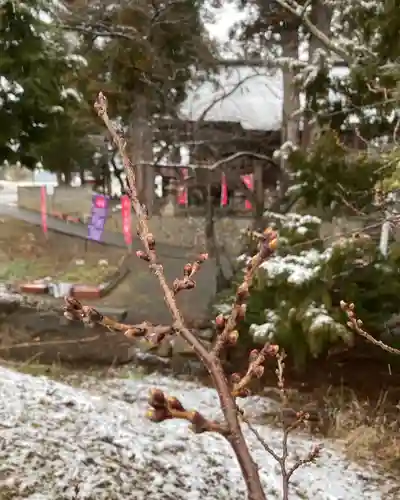 高司神社〜むすびの神の鎮まる社〜の自然