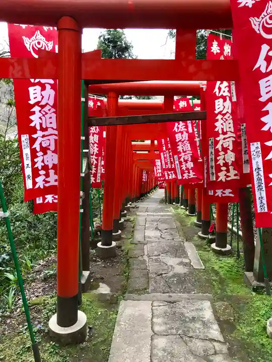 佐助稲荷神社の鳥居