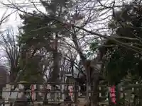 金峯神社(新潟県)