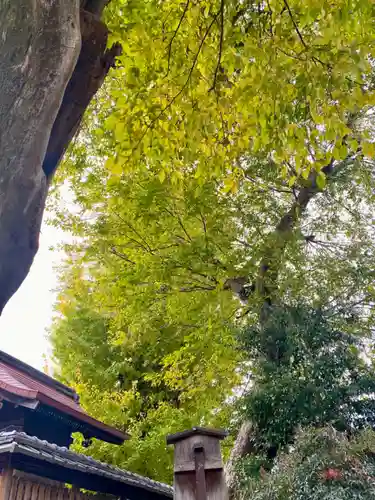 宇賀神社(京都府)