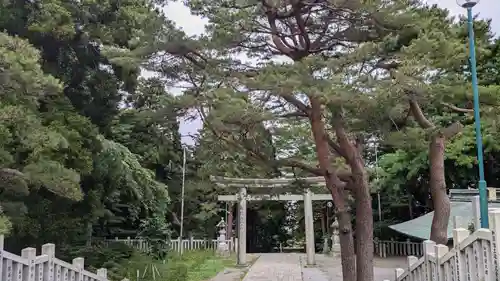 函館八幡宮の鳥居