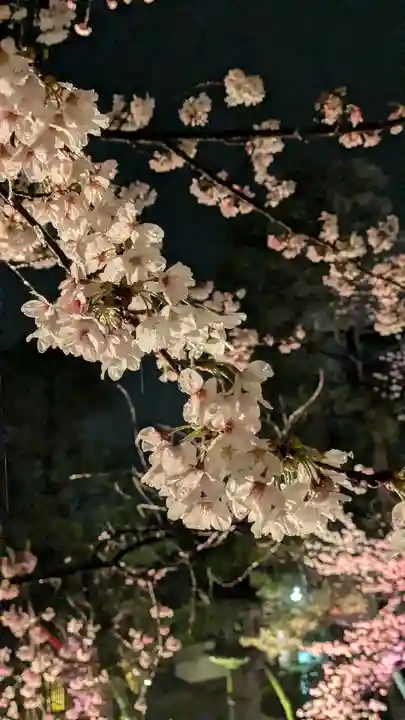 知恩院(京都府)