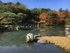 天龍寺の庭園