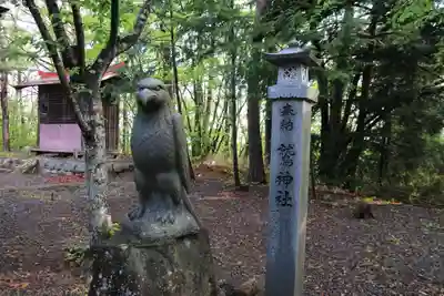鷲神社の狛犬