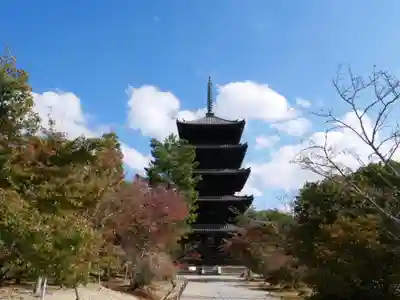 仁和寺(京都府)