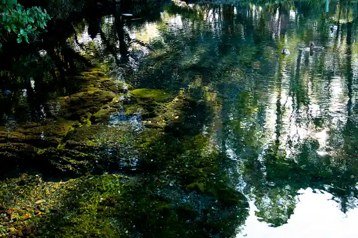 富士山本宮浅間大社(静岡県)