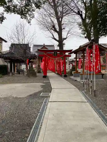 於菊稲荷神社の鳥居