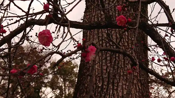 北野天満宮(京都府)