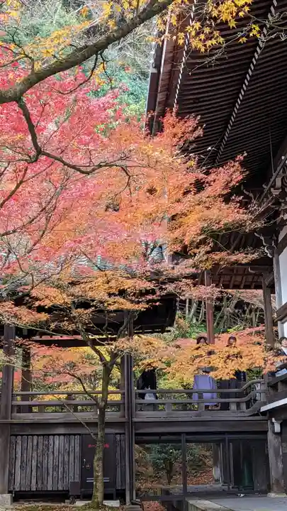 禅林寺(永観堂)(京都府)