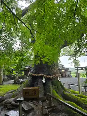 事任八幡宮(静岡県)