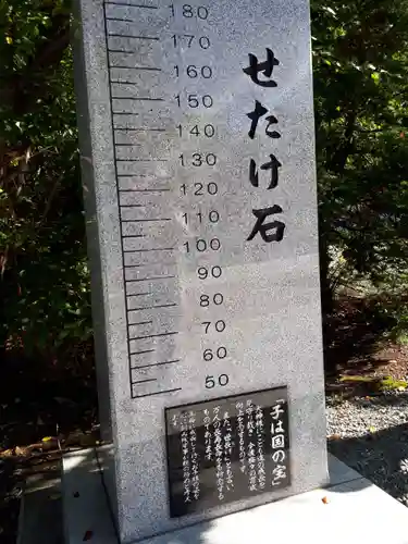 住吉神社の体験その他