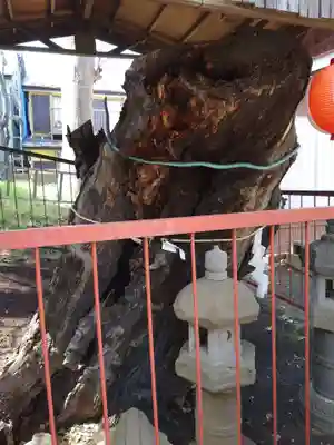 熊野神社(神奈川県)