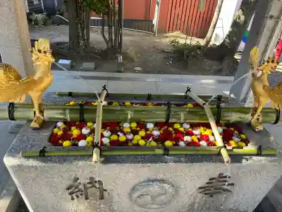 富岡八幡宮(東京都)