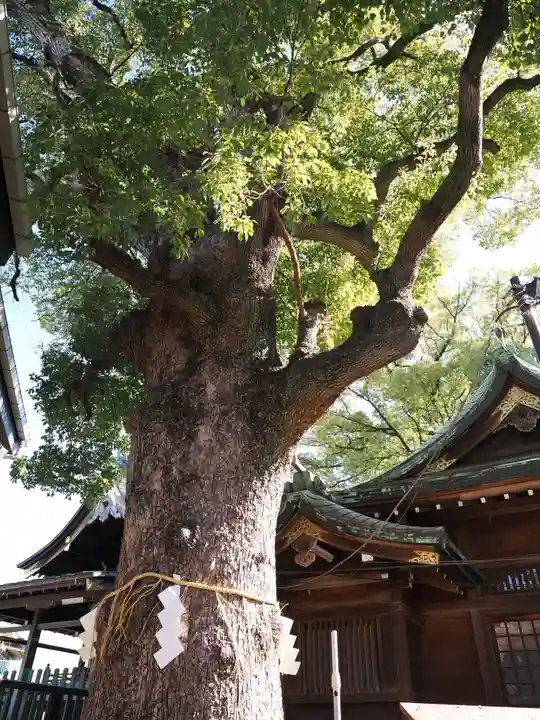 五方山熊野神社(東京都)
