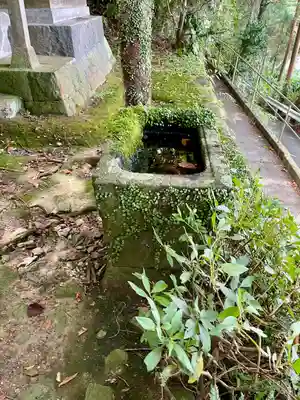 山神社(静岡県)