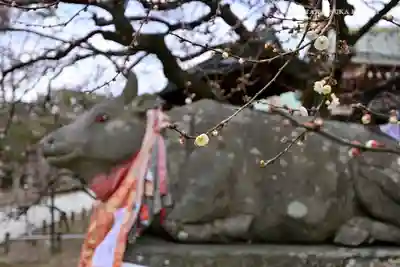 北野天満宮の狛犬