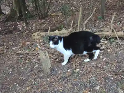 當麻山口神社(奈良県)