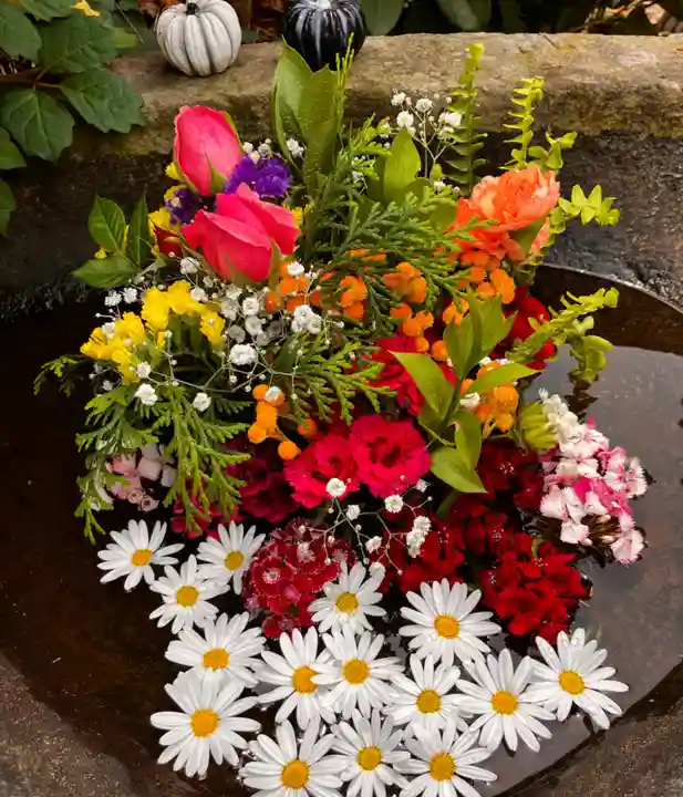 真言宗 善通寺派 薬王寺(香川県)