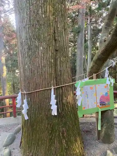 羽黒山神社(栃木県)