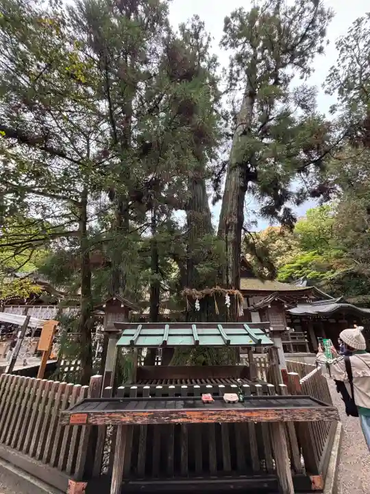 大神神社の{uncategorized: "未分類", other: "その他", undefined: "問題あり", building: "その他建物", grave: "お墓", sacred_gate: "鳥居", guardian: "狛犬", statue: "像", buddha: "仏像", history: "歴史", nature: "自然", garden: "庭園", animal: "動物", pagoda: "塔", temizu: "手水舎", mountain_gate: "山門・神門", sanctuary: "本殿・本堂", subordinate: "末社・摂社", art: "芸術", scenery: "景色", jizo: "地蔵", ema: "絵馬", goshuin: "御朱印", omikuji: "おみくじ", items: "授与品その他", amulet: "お守り", goshuincho: "御朱印帳", eats: "食事", festival: "お祭り", votive_dance: "神楽", shichigosan: "七五三参", wedding: "結婚式", experience: "体験その他", initially: "初詣", around: "周辺", anti_infection: "感染症対策"}