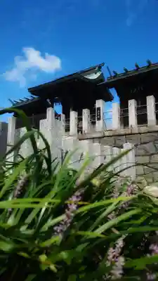 秋葉神社の本殿・本堂