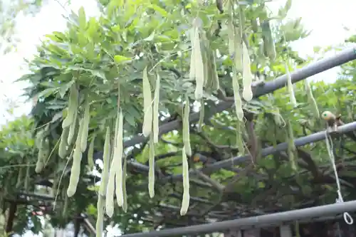 水戸東照宮の庭園