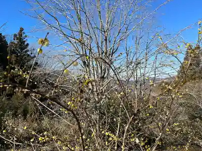 愛宕神社の自然