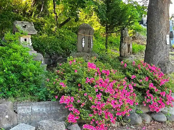 妻科神社(長野県)