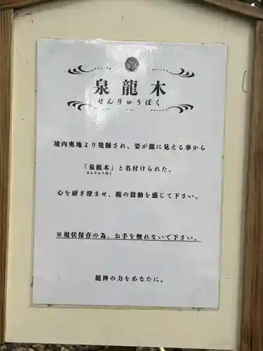 泉神社(茨城県)