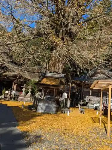正法寺の御朱印
