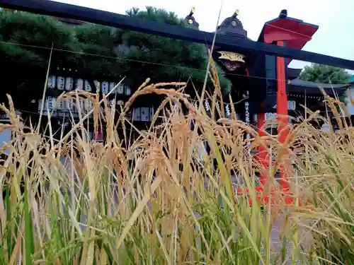 阿部野神社(大阪府)