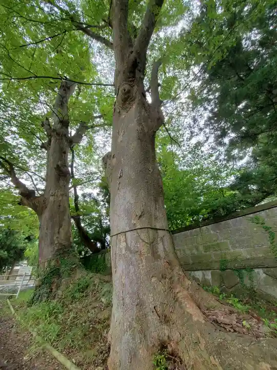 神炊館神社 ⁂奥州須賀川総鎮守⁂(福島県)