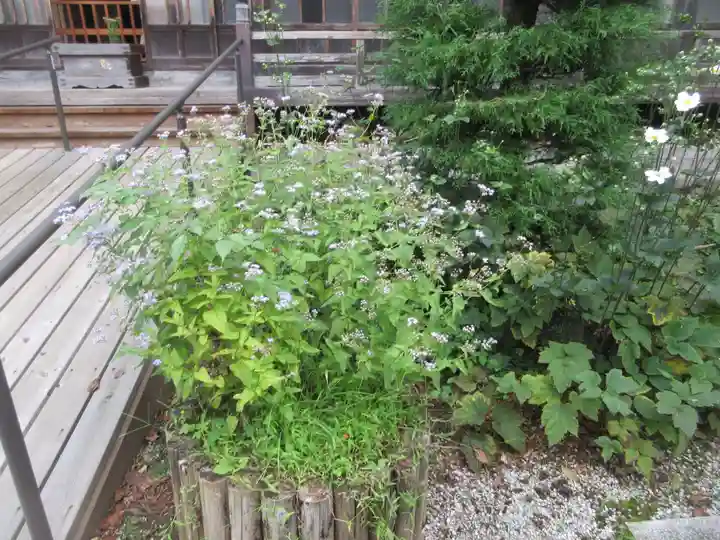 法善寺(埼玉県)