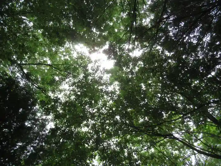賀茂別雷神社(栃木県)