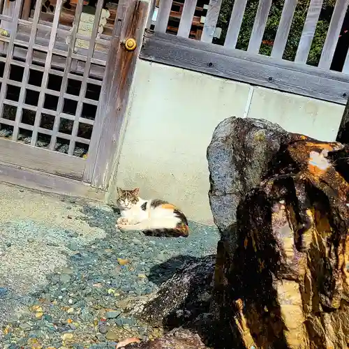 牟呂八幡宮の動物