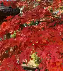 比々多神社(神奈川県)